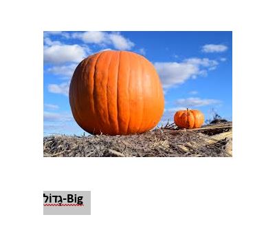 Milon-JoshGreenbaum by Josh  - Ourboox.com