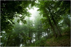 La Sicilia by Flavia e Lucia - Ourboox.com