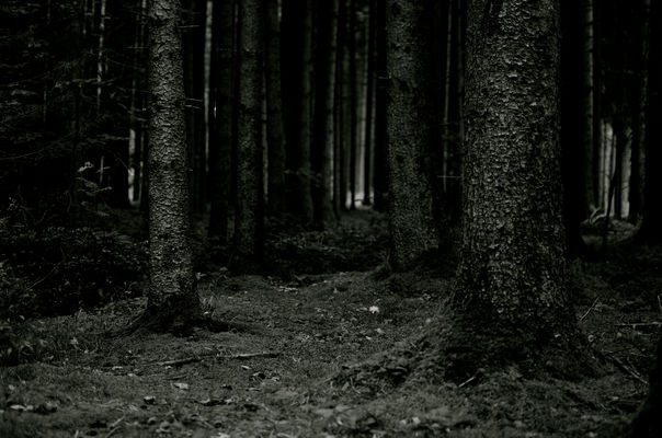 ELS CONTES DE QUART B by Material per al treball a l