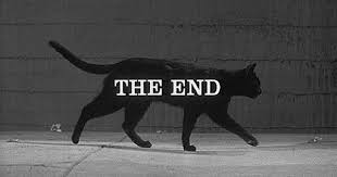 SUPERCAT by ICP - Ourboox.com