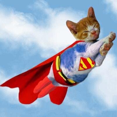 SUPERCAT by ICP - Ourboox.com