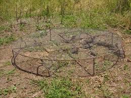 THE BLACK OF DE GALICIAN by Hector - Ourboox.com