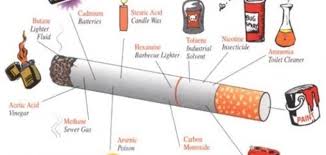 الجهاز التنفسي by saja abu khalaf - Illustrated by saja abu khalaf - Ourboox.com