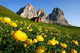 il Trentino-Alto Adige by smile - Ourboox.com