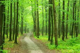 il Trentino-Alto Adige by smile - Ourboox.com