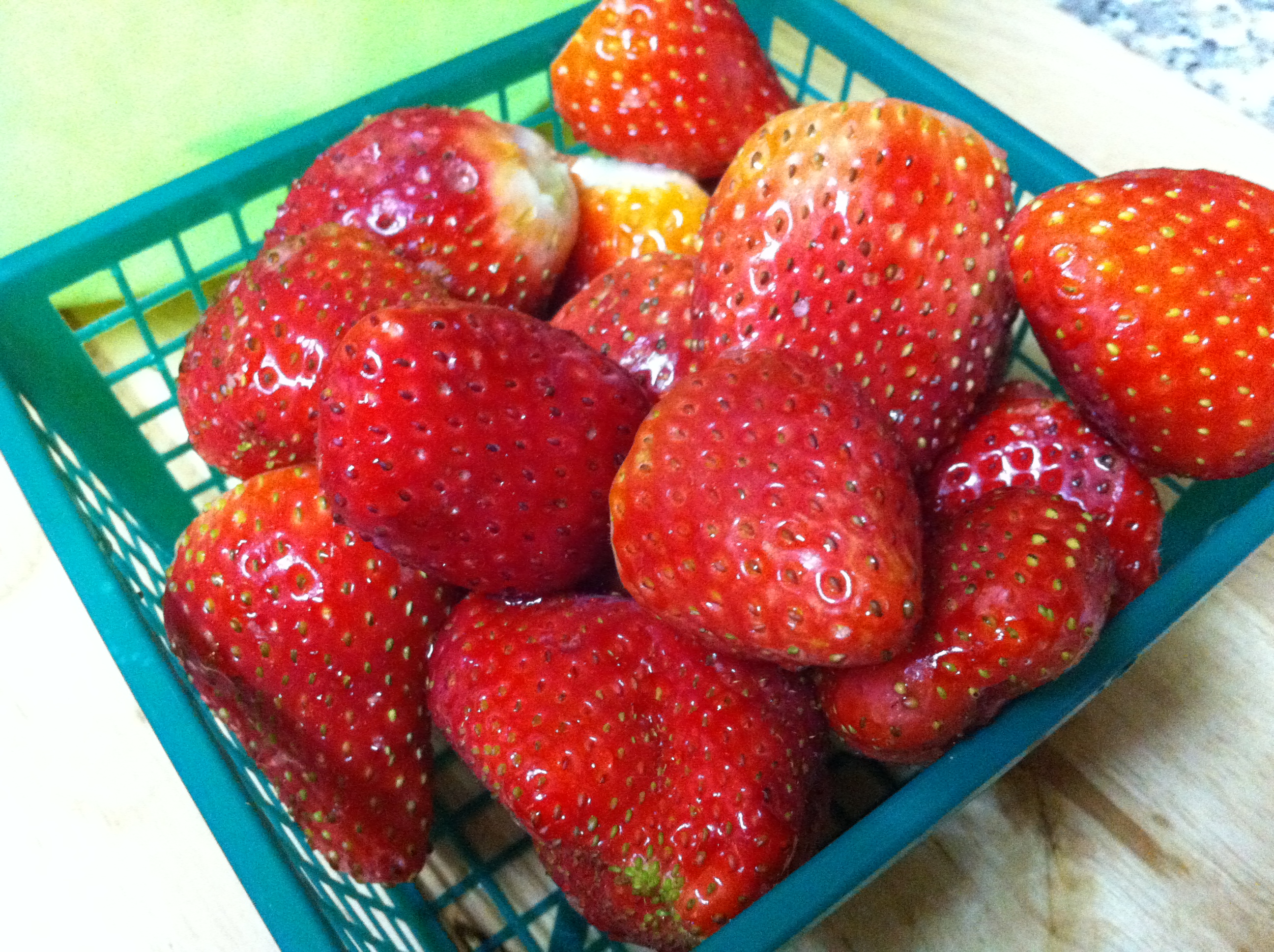 ט”ו בשבט by mazi berkovich - Ourboox.com