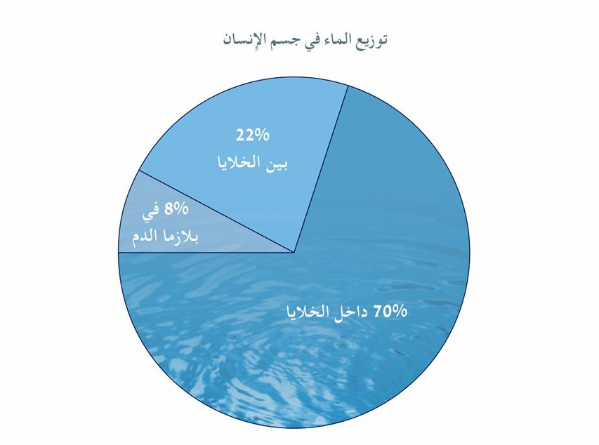 الماء في جسم الانسان by malak and noran - Illustrated by ملاك و نوران - Ourboox.com