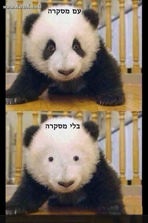 תמונות מצחיקות by nezili - Ourboox.com