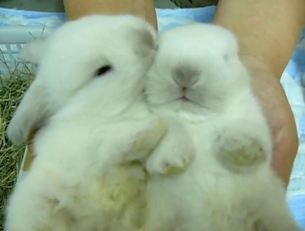 My Favorite Things by Reut Berdugo - Ourboox.com