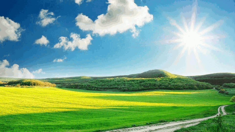 A sunny day by maria jose - Ourboox.com