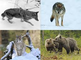 il Trentino-Alto Adige by smile - Ourboox.com