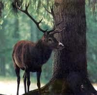 il Trentino-Alto Adige by smile - Ourboox.com