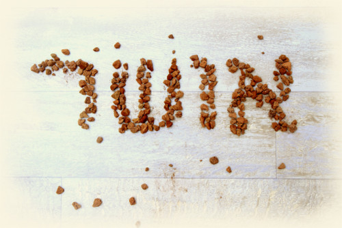 סיפורי מילים: אושר by osherosher - Ourboox.com