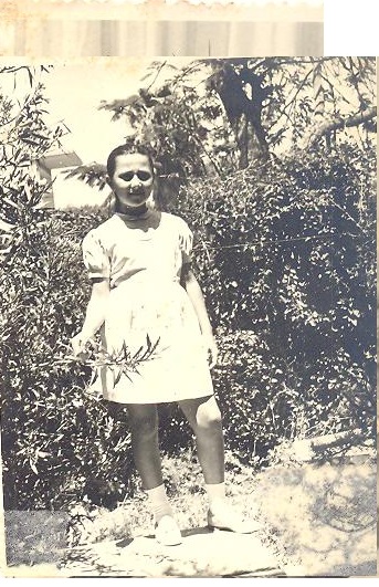 הספר של שושי פרוינד by adva - Ourboox.com