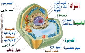 الخليه by hamza - Illustrated by حمزه ابو ياسين.مالك علوش - Ourboox.com