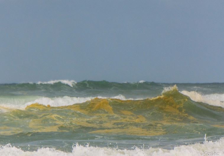 זיהום המים by yael elkon - Ourboox.com