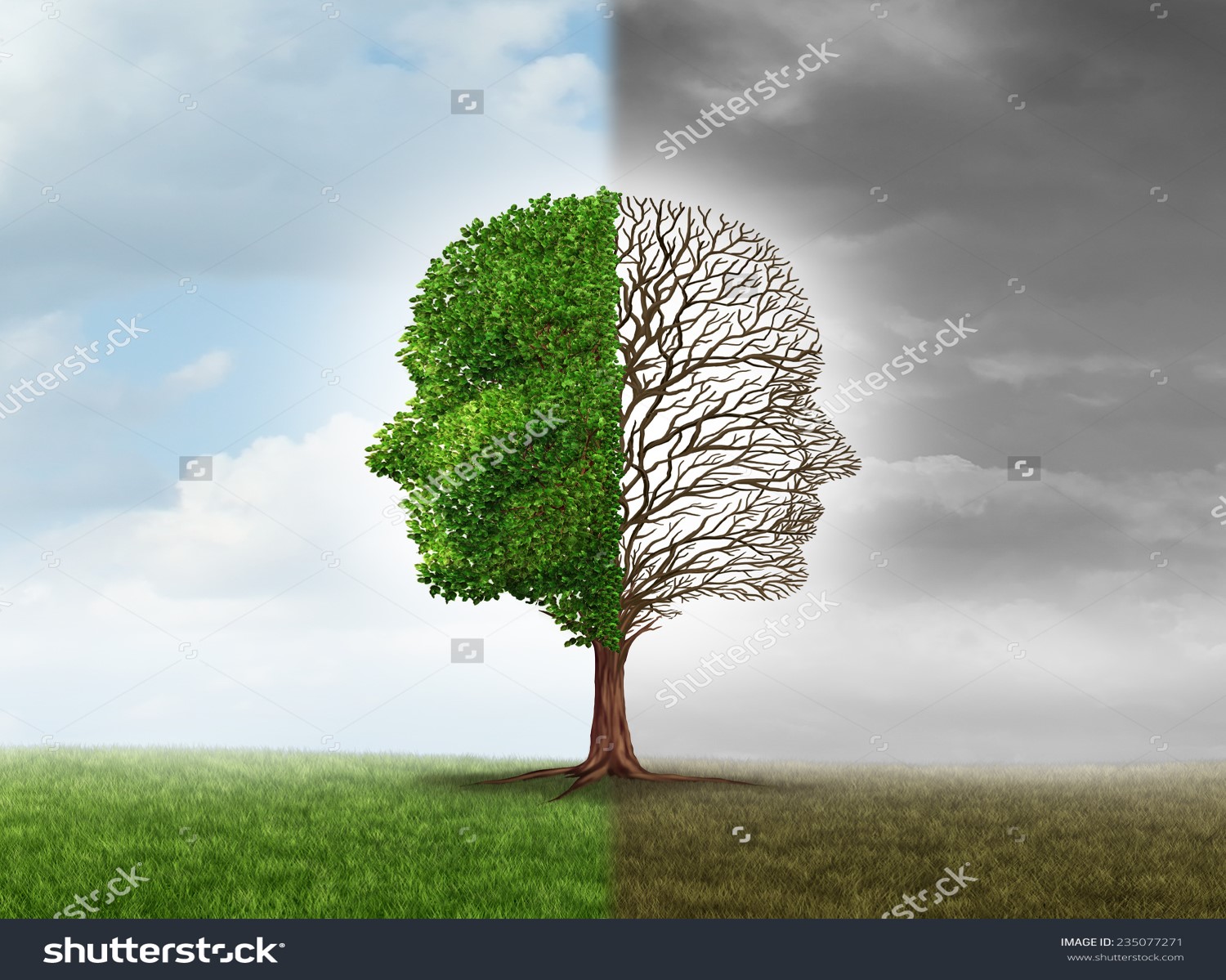 שני סוגי עצים by gad kosta - Illustrated by גד קוסטה - Ourboox.com