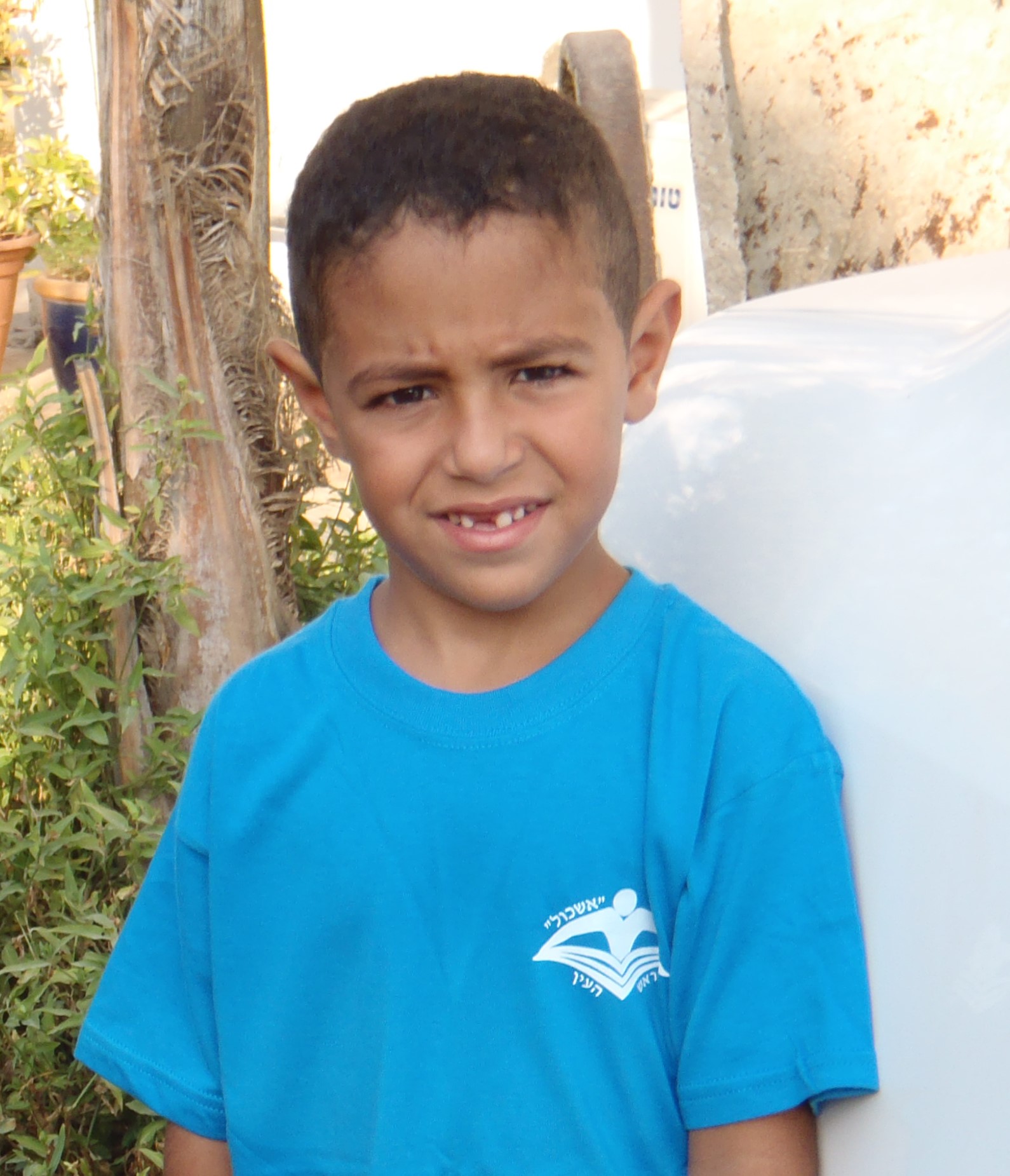 עבודת שורשים by peleghadad - Ourboox.com