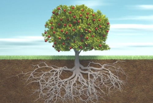 שני סוגי עצים by gad kosta - Illustrated by גד קוסטה - Ourboox.com