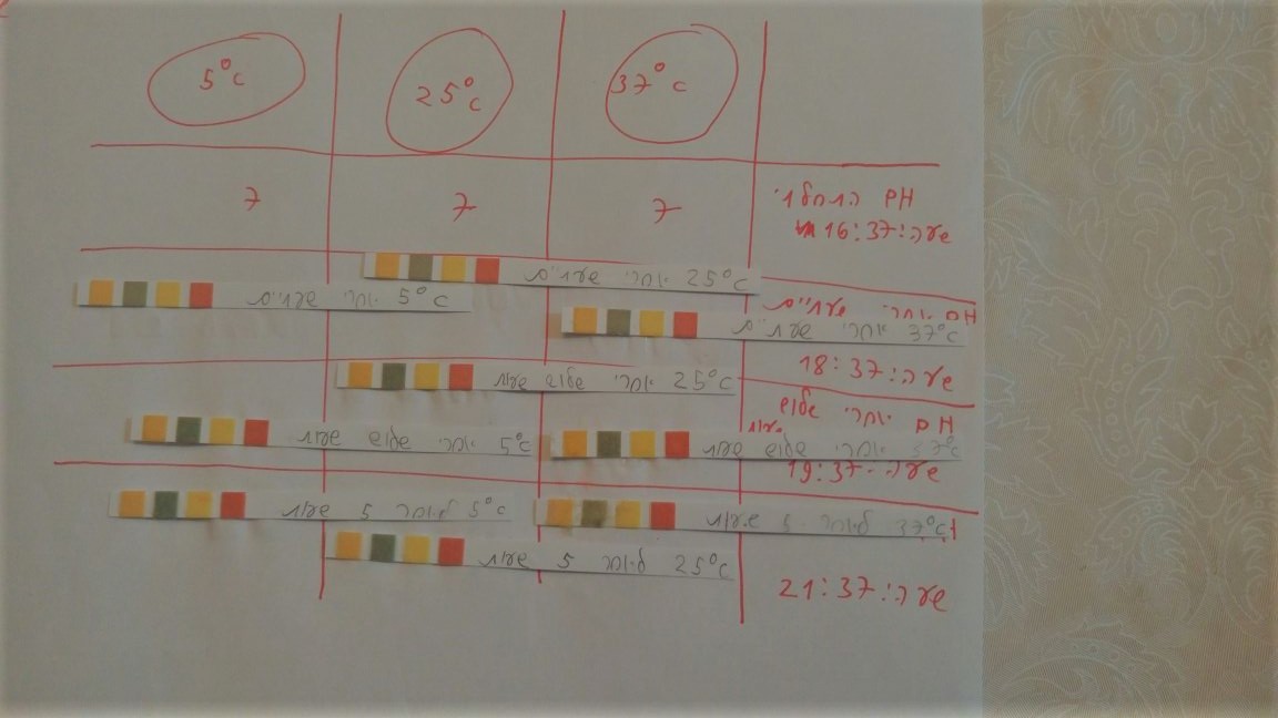 עבודת חקר by idan cohen - Ourboox.com