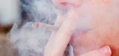 اضرار الحشيش by aya - Ourboox.com