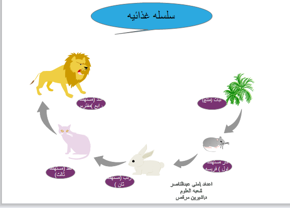 مهمة علوم by Elissa abo jwela - Ourboox.com