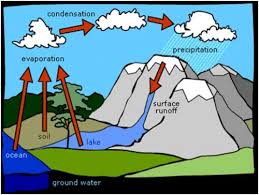 where does rain come from? by maha - Ourboox.com