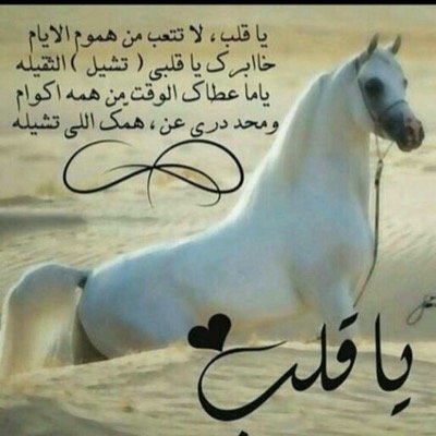 الامل by abtsaim  - Ourboox.com