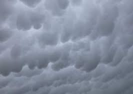 فصل الشتاء by malaa gharaba - Illustrated by ملأ غرابا - Ourboox.com