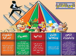 ameer by ameer ganm - Ourboox.com