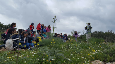 حتلنات עדכונים by sana - Ourboox.com
