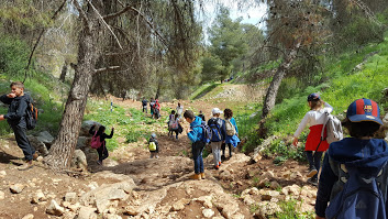 حتلنات עדכונים by sana - Ourboox.com