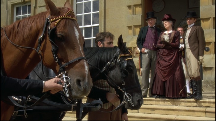 black beauty by raghad kilany - Illustrated by anna sewell - Ourboox.com