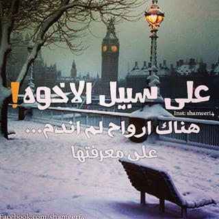 الاصدقاء by ayoosh - Ourboox.com
