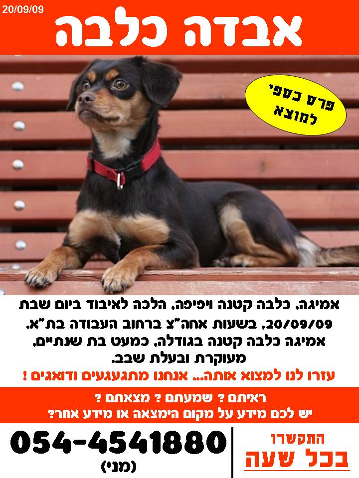 הכלבה שהלכה לאיבוד by jacklin - Ourboox.com