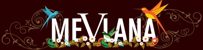 mevlana by seda aksu - Ourboox.com