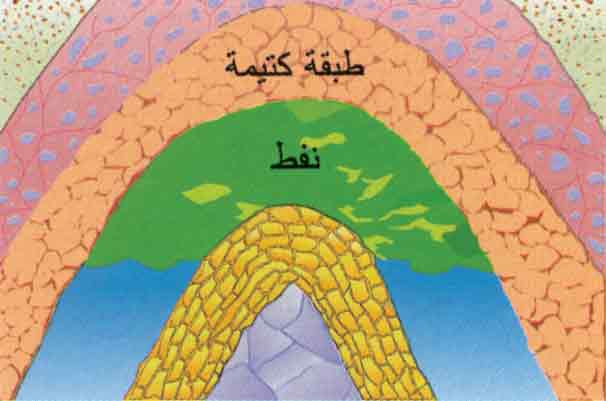 النفط by nuha - Illustrated by نهى الماني - Ourboox.com