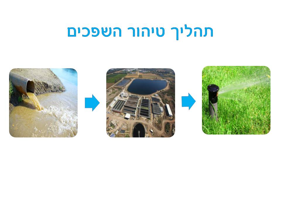 עבודת חקר- כיצד מדינת ישראל מתמודדת עם מחסור המים שנוצר כתוצאה מזיהום מקורות המים? by Research- IBED - Illustrated by  עדן עובד, אילי קורין, דנה אלעזר, בר ארבלי - Ourboox.com