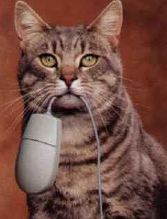 Cats by Noga - Ourboox.com