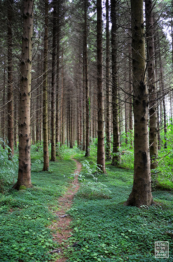 L’ Irlanda e le sue sfumature di verde by ciccine - Illustrated by ALICE E ANGELA - Ourboox.com