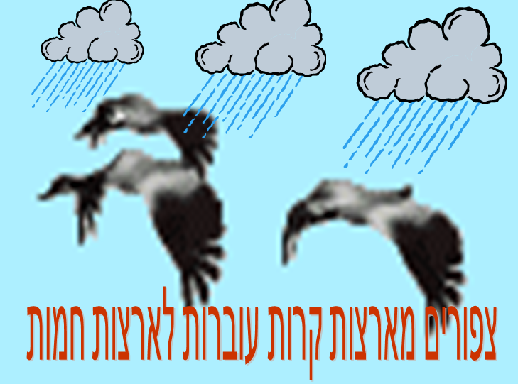 חורף by naura - Illustrated by גיהאן זועבי - Ourboox.com