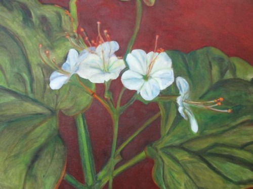 מילים מתגלגלות by edna cohen - עדנה כהן - Illustrated by עדנה כהן  - Ourboox.com