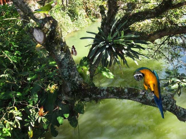 An Expidition to the Amazon by Nagham Matar - Ourboox.com