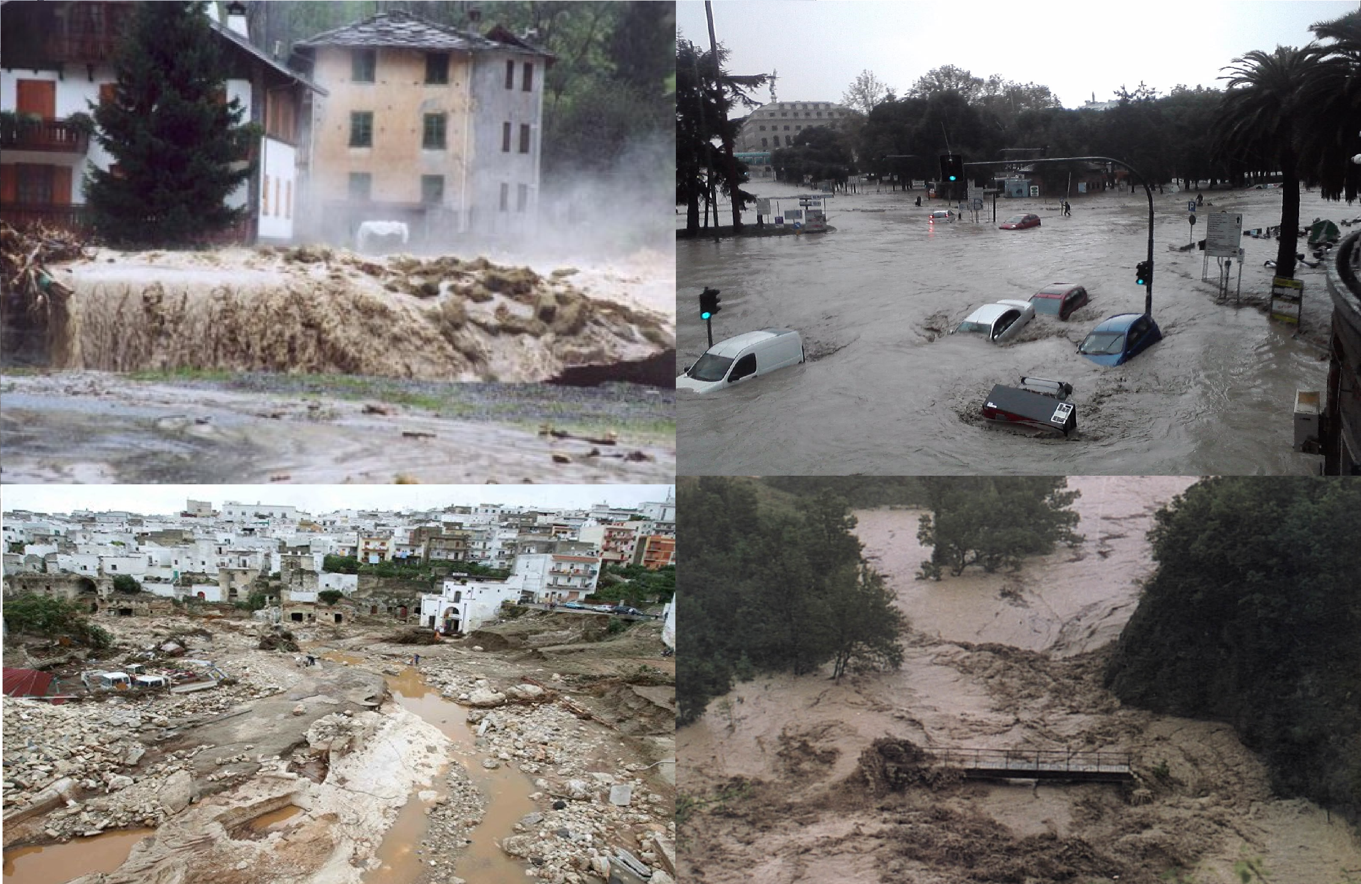 Ecologia & Pedologia by Damiano Massari - Ourboox.com