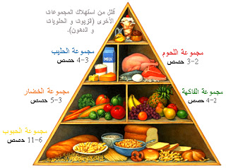 ameer by ameer ganm - Ourboox.com