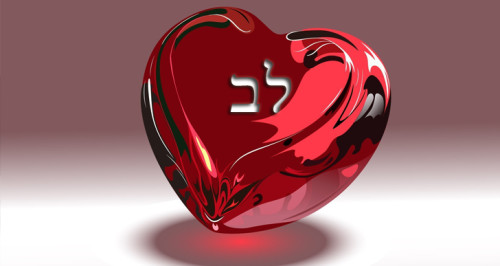 הלב by Snaey - Illustrated by שחר עדי ניב ויובל - Ourboox.com