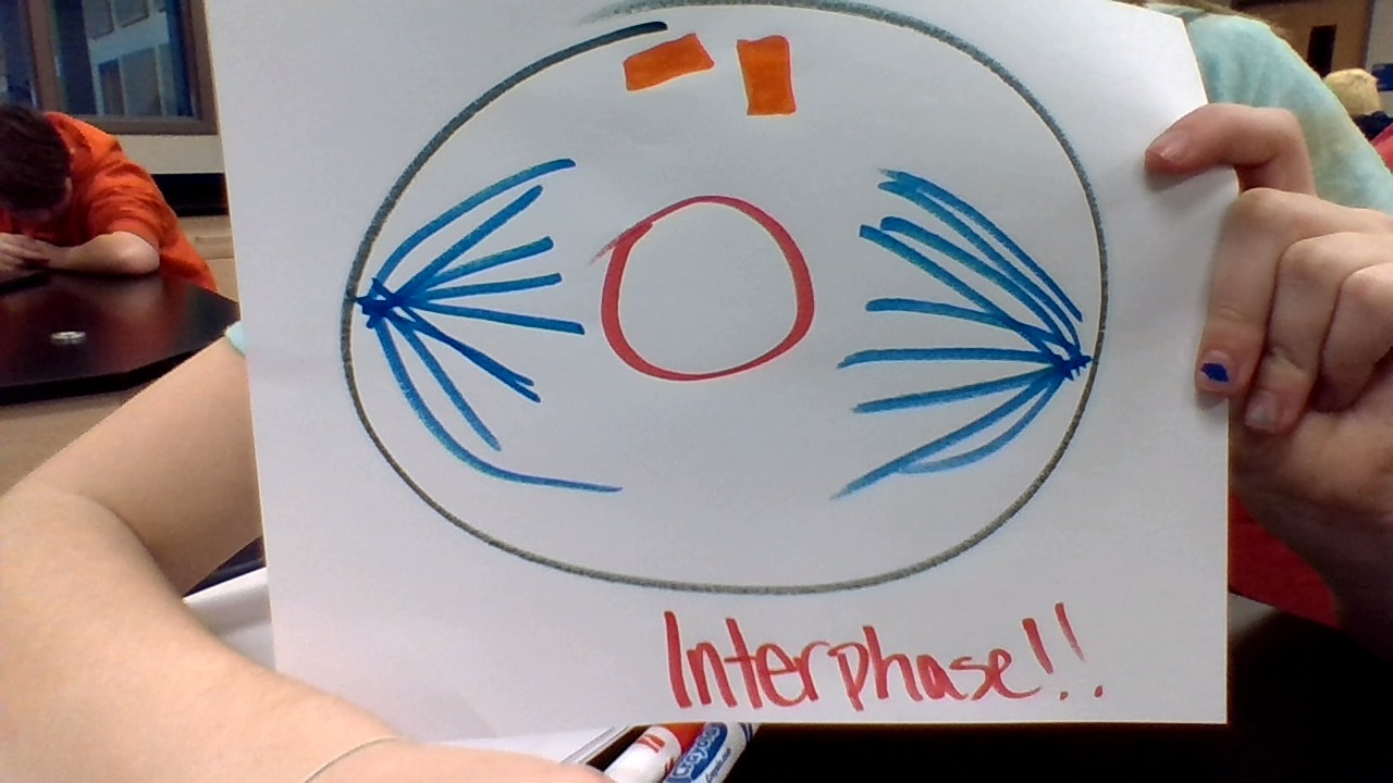 “Mitosis ? What’s That ?” by Riley GIpson - Illustrated by Riley Gipson  - Ourboox.com