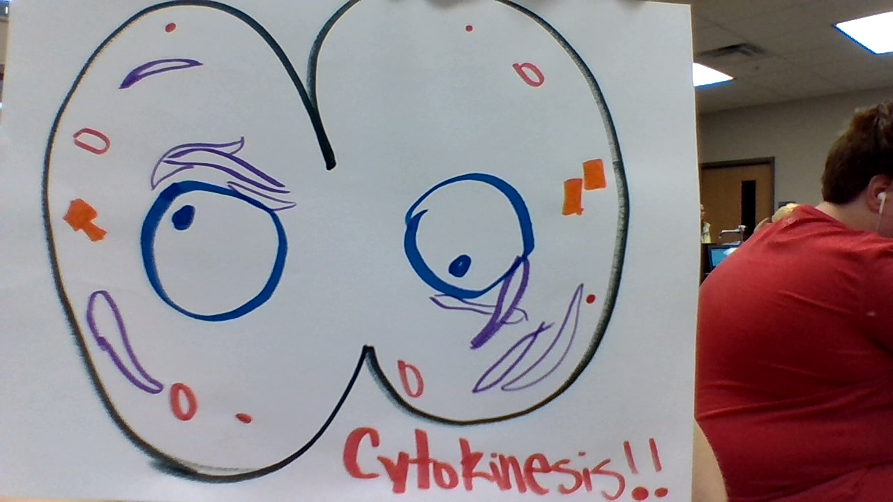 “Mitosis ? What’s That ?” by Riley GIpson - Illustrated by Riley Gipson  - Ourboox.com