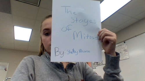 The Stages of Mitosis by shelby alcorn - Illustrated by Shelby Alcorn - Ourboox.com
