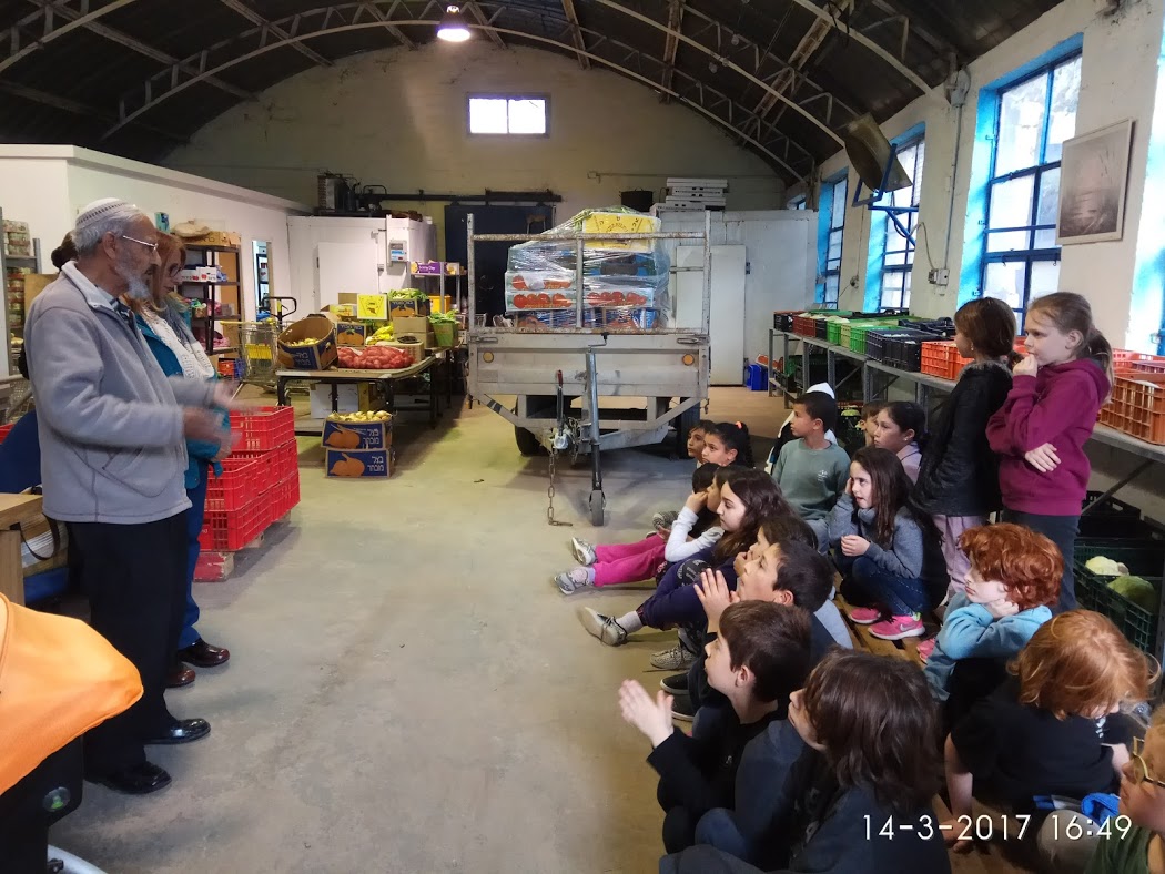 העץ שלי by yehuda - Illustrated by יהודה  - Ourboox.com